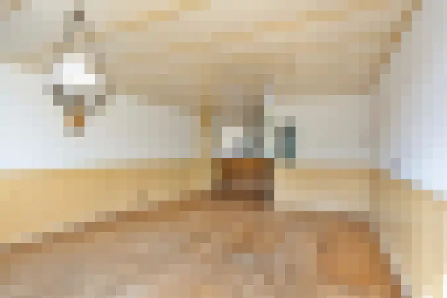De Ruijterstraat 29 Alphen aan den Rijn thumbnail 12