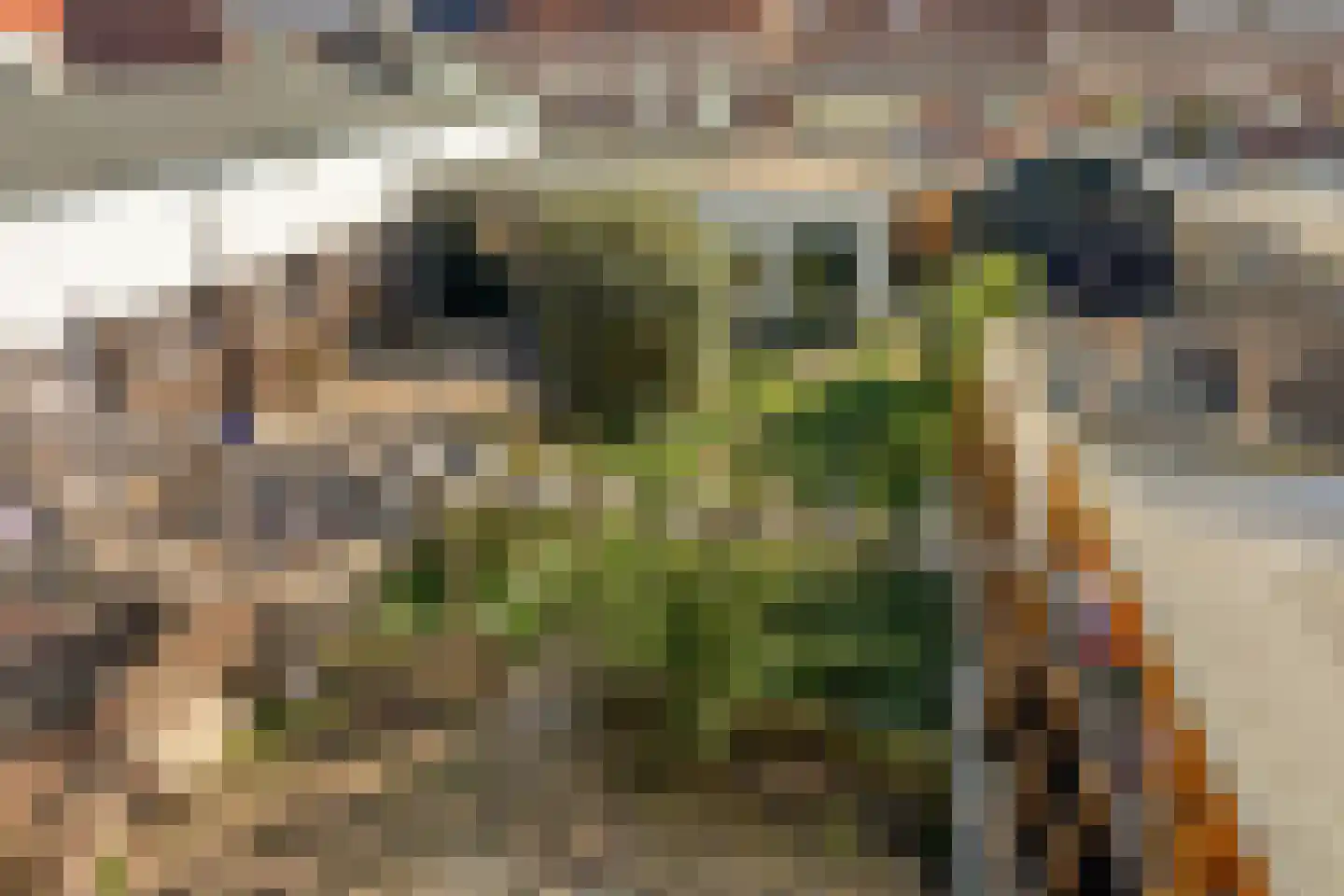 De Ruijterstraat 29 Alphen aan den Rijn thumbnail 32