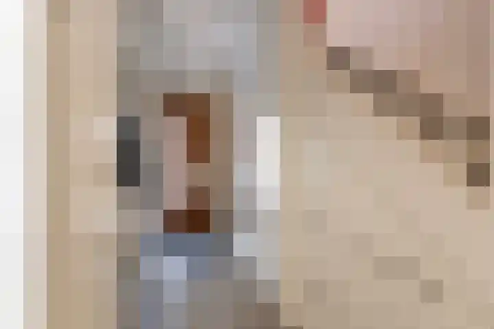 de Ruijterstraat 32 Vlaardingen thumbnail 12