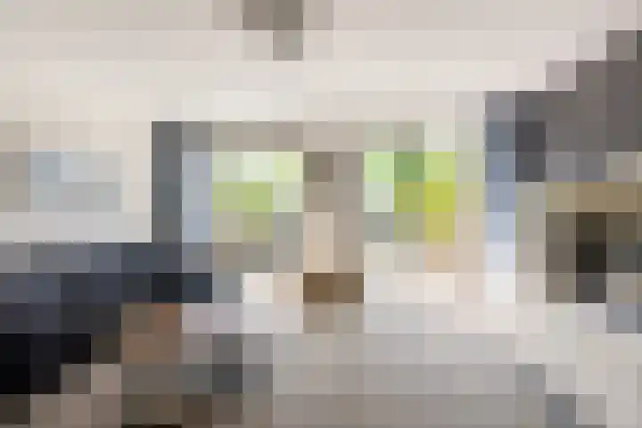 de Ruijterstraat 32 Vlaardingen thumbnail 13