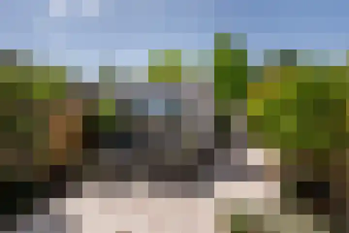 de Ruijterstraat 32 Vlaardingen thumbnail 4