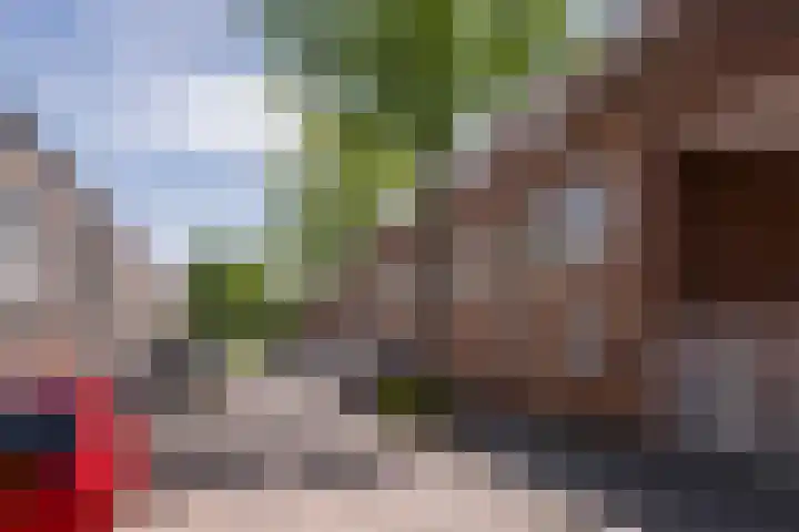 de Ruijterstraat 32 Vlaardingen thumbnail 8