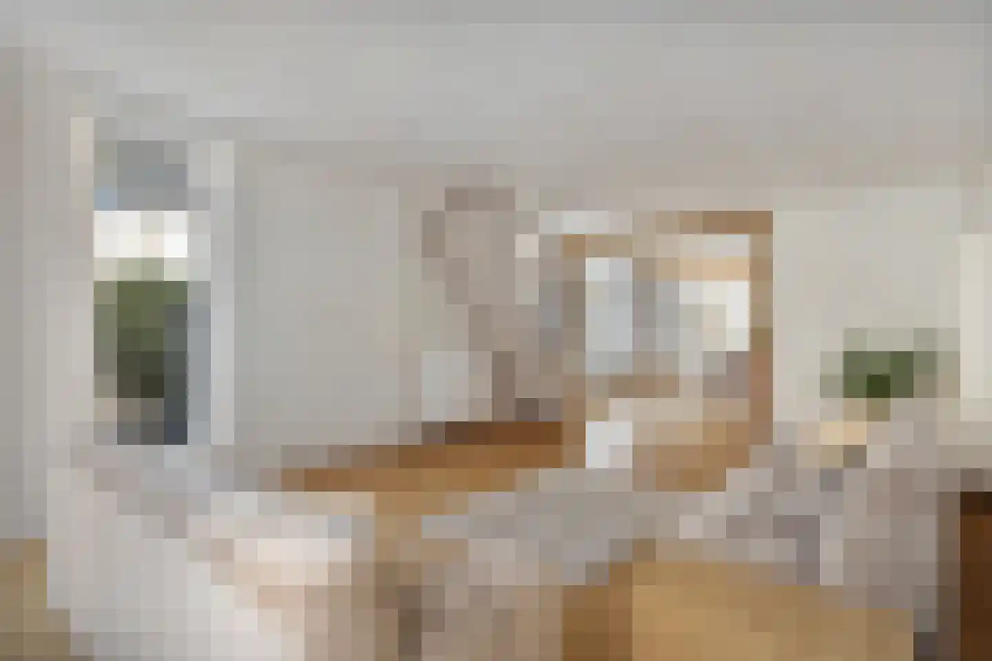De Ruijterstraat 34 B Den Helder thumbnail 14