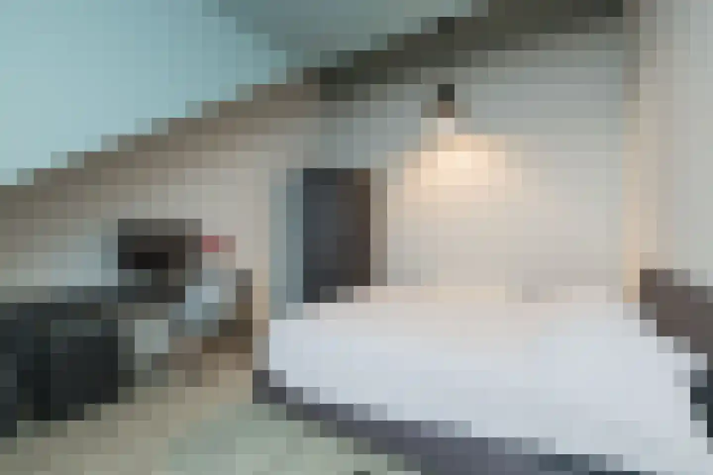 De Ruijterstraat 35 D Rijnsburg thumbnail 37