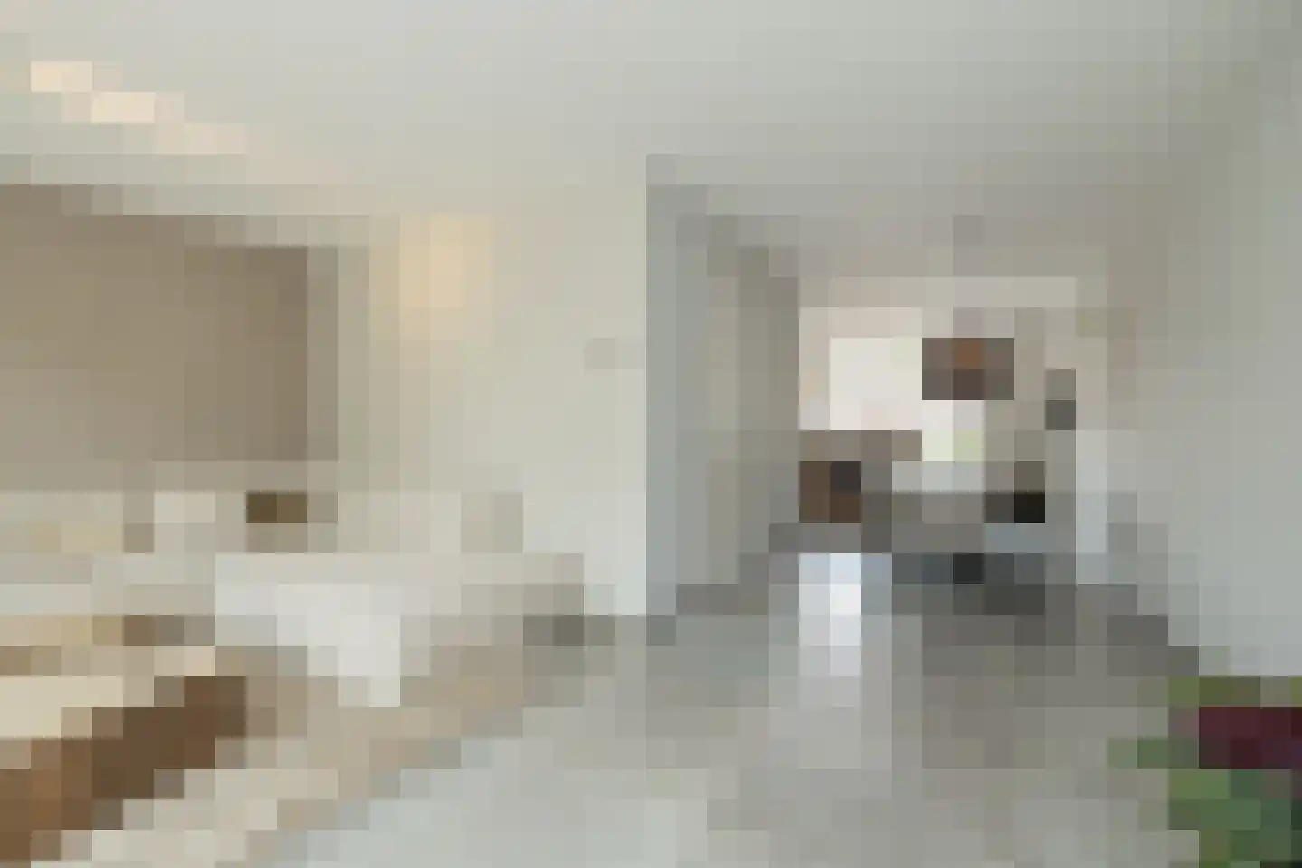 De Ruijterstraat 35 D Rijnsburg thumbnail 9