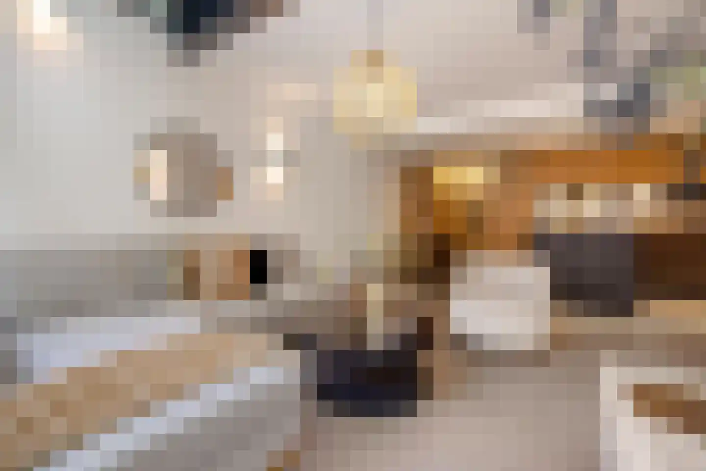 De Ruijterstraat 38 F Den Haag thumbnail 6
