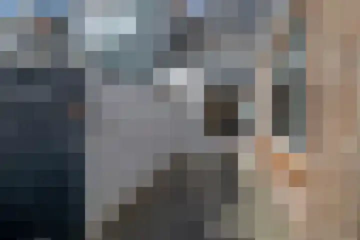 De Ruijterstraat 42 Den Helder thumbnail 10