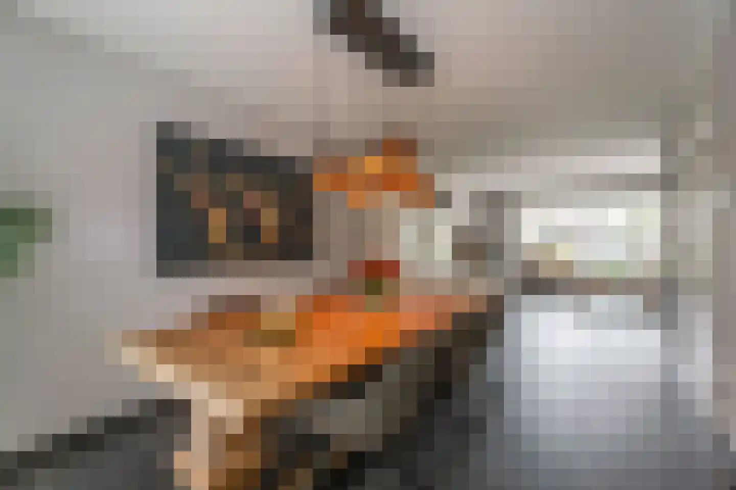 De Ruijterstraat 45 Rijnsburg thumbnail 11