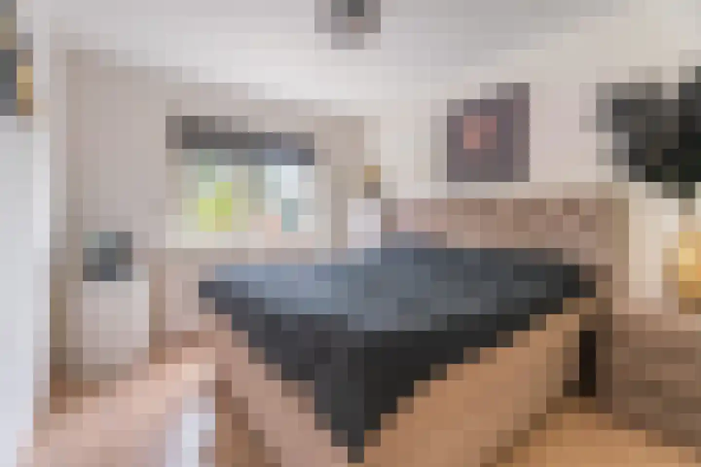 De Ruijterstraat 45 Rijnsburg thumbnail 18