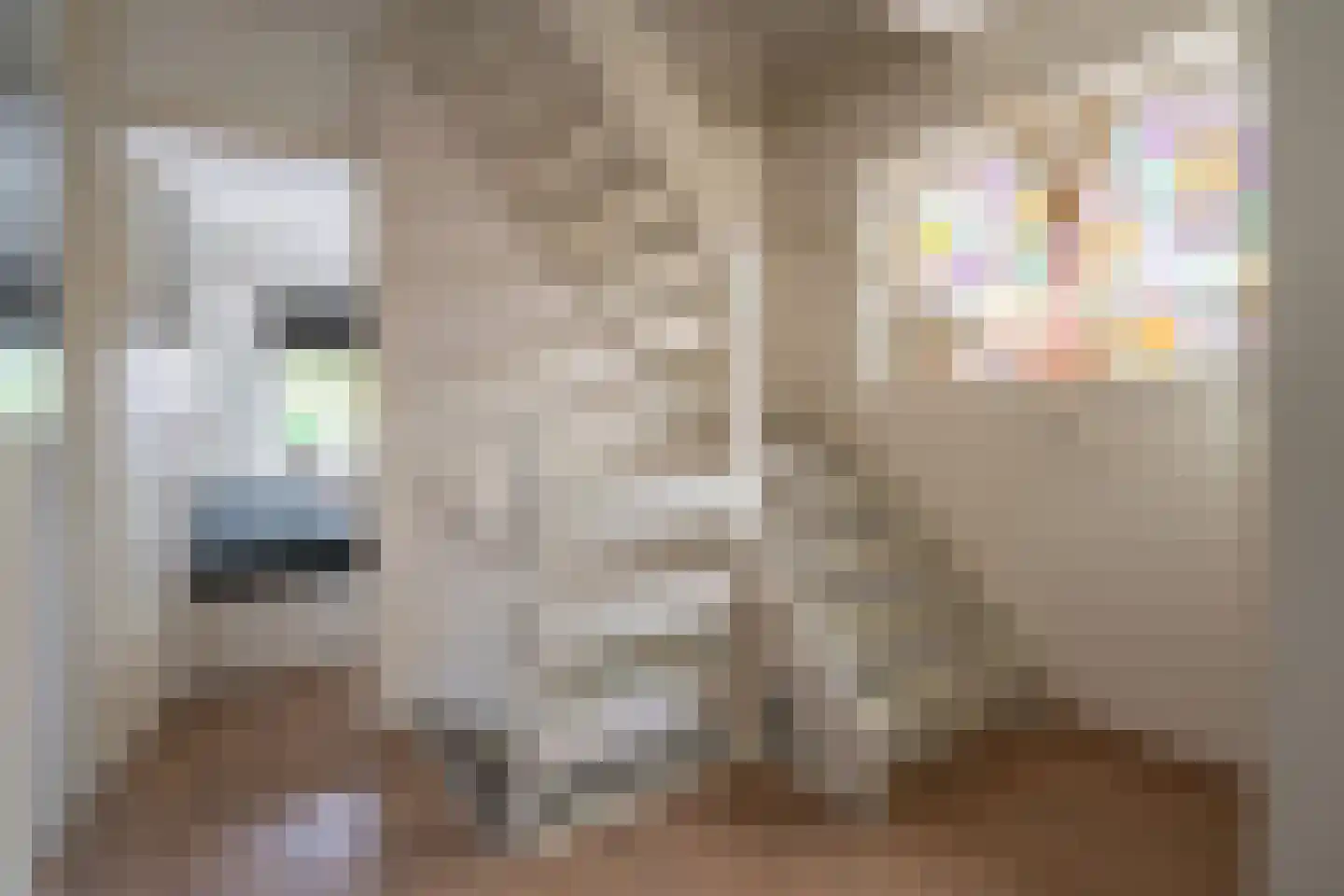 De Ruijterstraat 45 Rijnsburg thumbnail 23