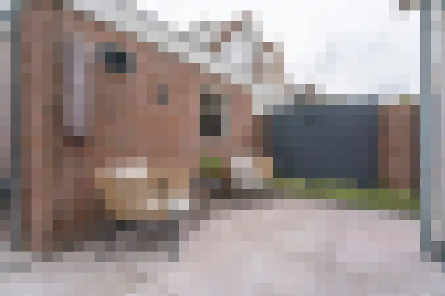 De Ruijterstraat 45 Rijnsburg thumbnail 35