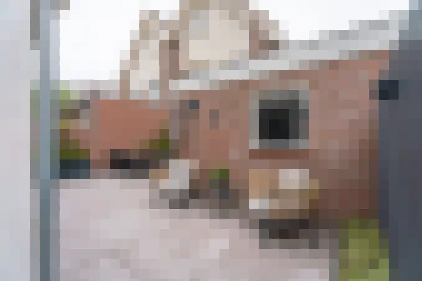 De Ruijterstraat 45 Rijnsburg thumbnail 36