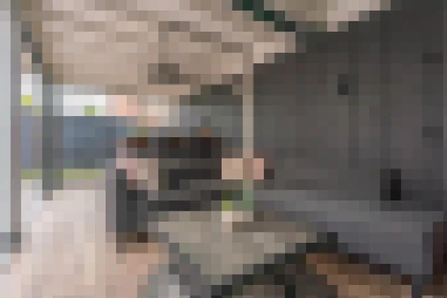 De Ruijterstraat 45 Rijnsburg thumbnail 42