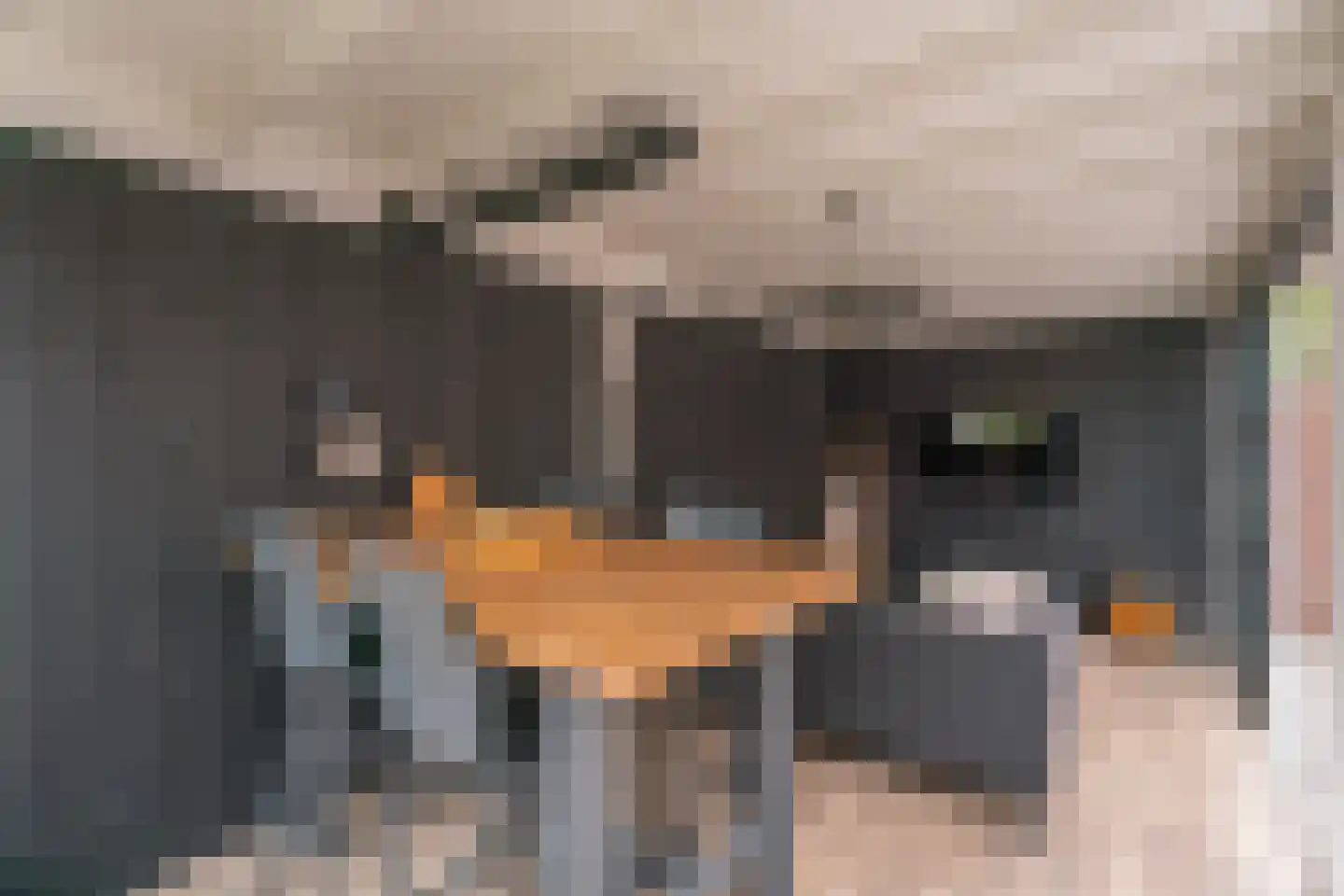 De Ruijterstraat 45 Rijnsburg thumbnail 43