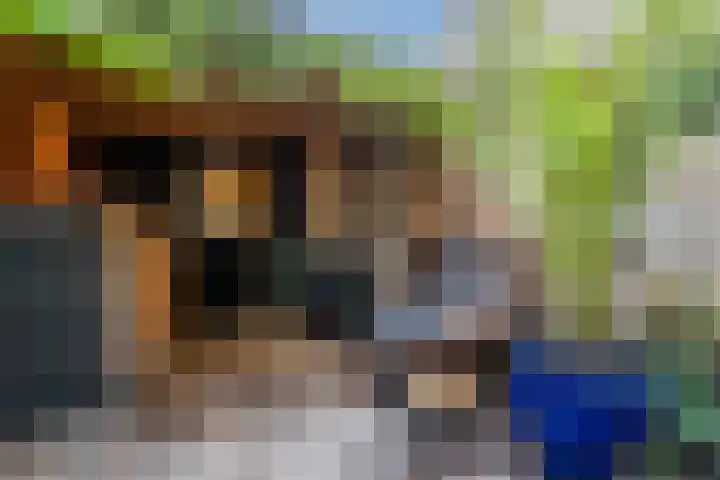 De Ruijterstraat 45 Veghel thumbnail 39