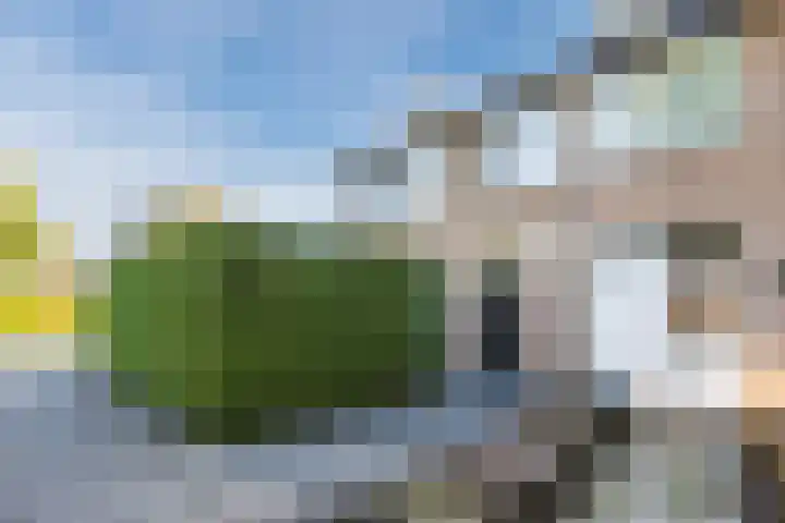 De Ruijterstraat 45 Veghel thumbnail 4