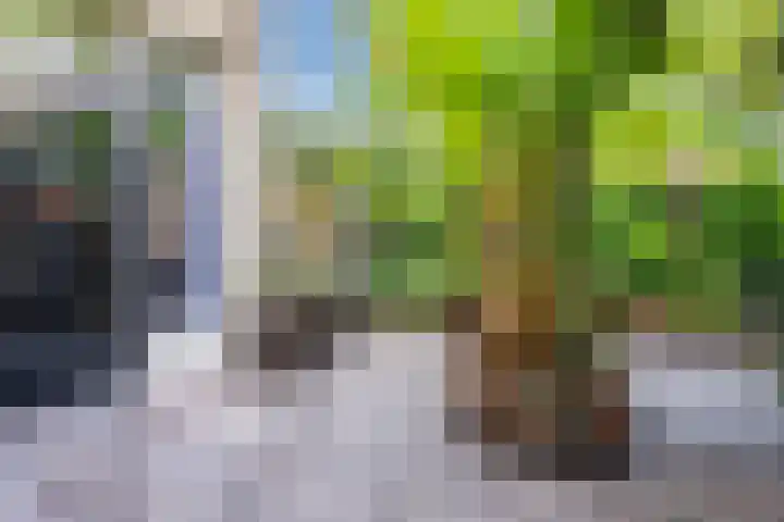 De Ruijterstraat 45 Veghel thumbnail 41