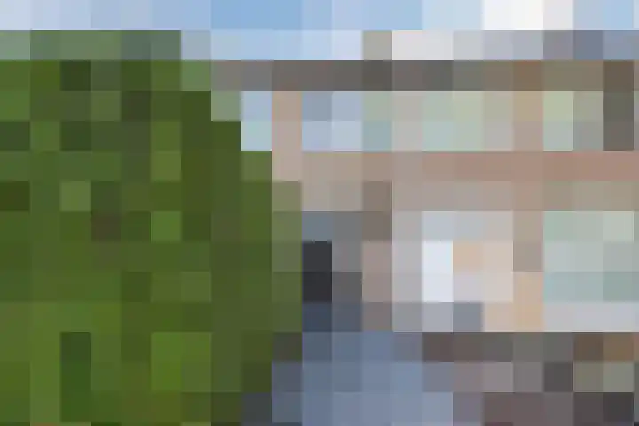 De Ruijterstraat 45 Veghel thumbnail 5