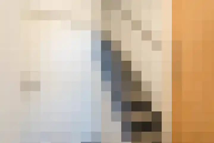 De Ruijterstraat 45 Veghel thumbnail 7