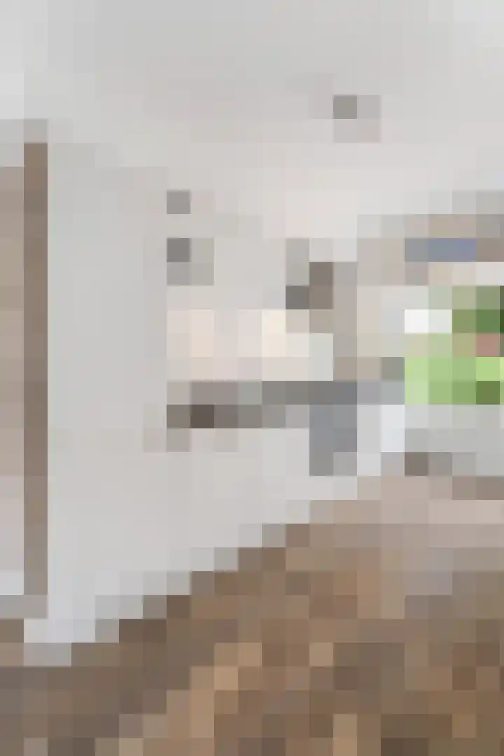 De Ruijterstraat 46 Amersfoort thumbnail 15
