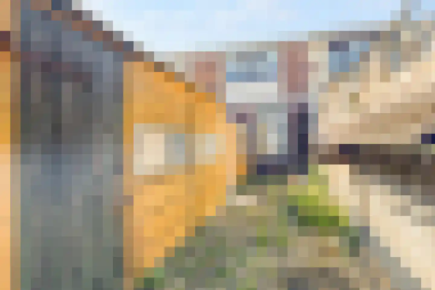 De Ruijterstraat 5 Den Helder thumbnail 19