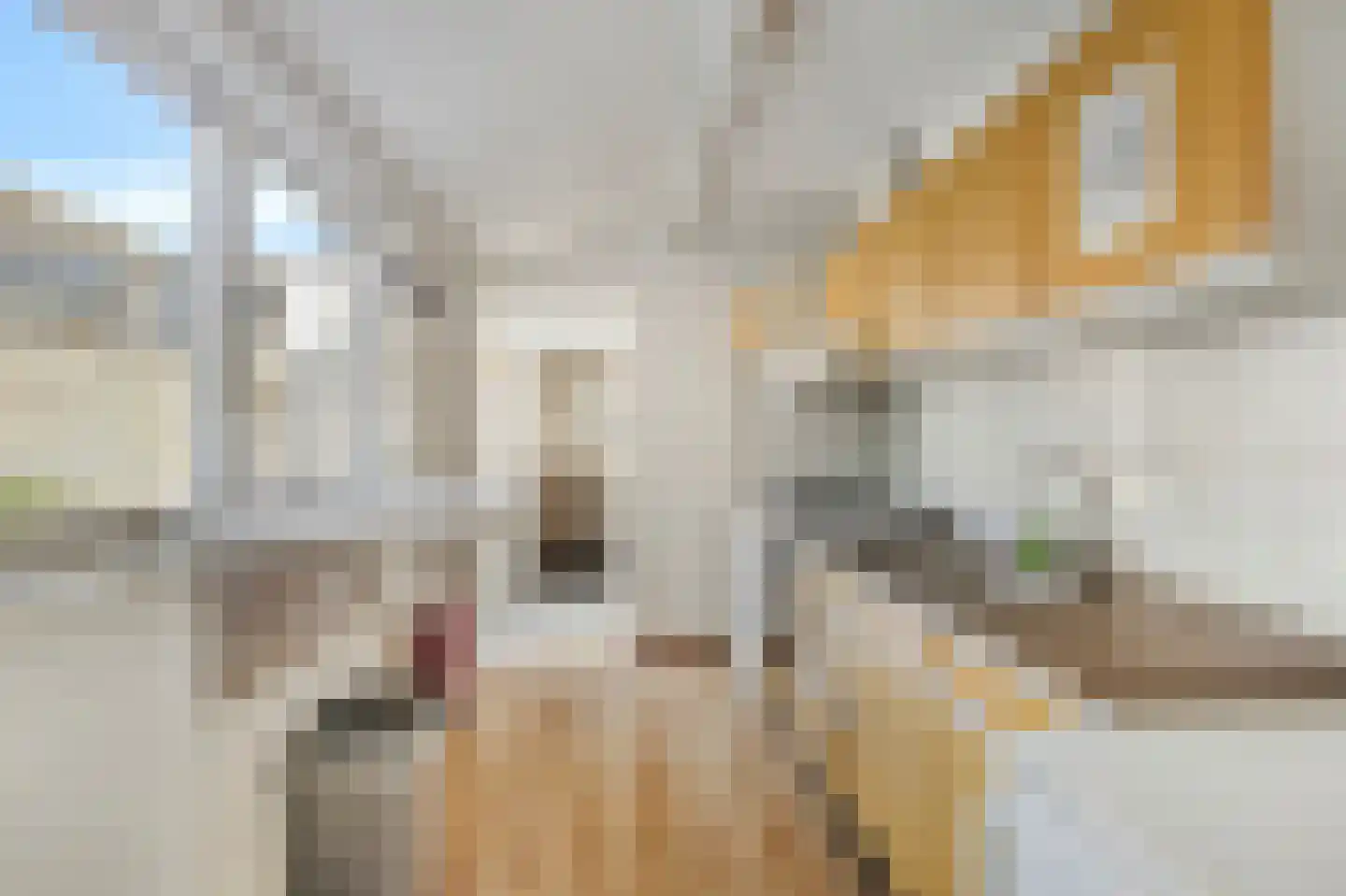 De Ruijterstraat 5 Den Helder thumbnail 4