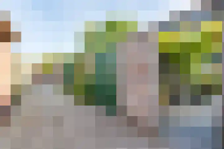 De Ruijterstraat 5 Groenlo thumbnail 36