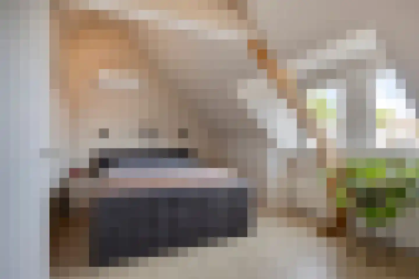 de Ruijterstraat 5 Lisse thumbnail 24