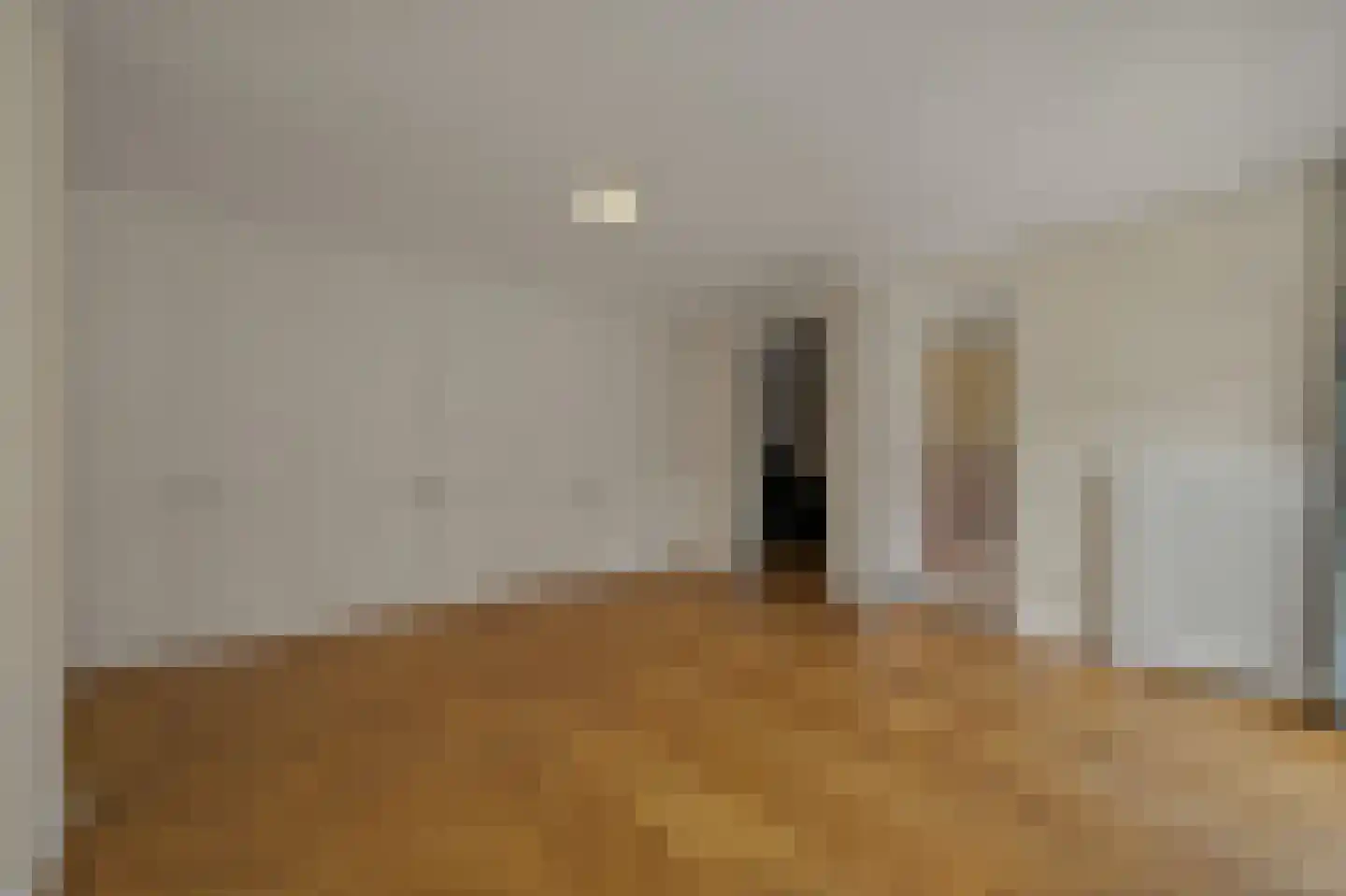 De Ruijterstraat 50 Den Haag thumbnail 54