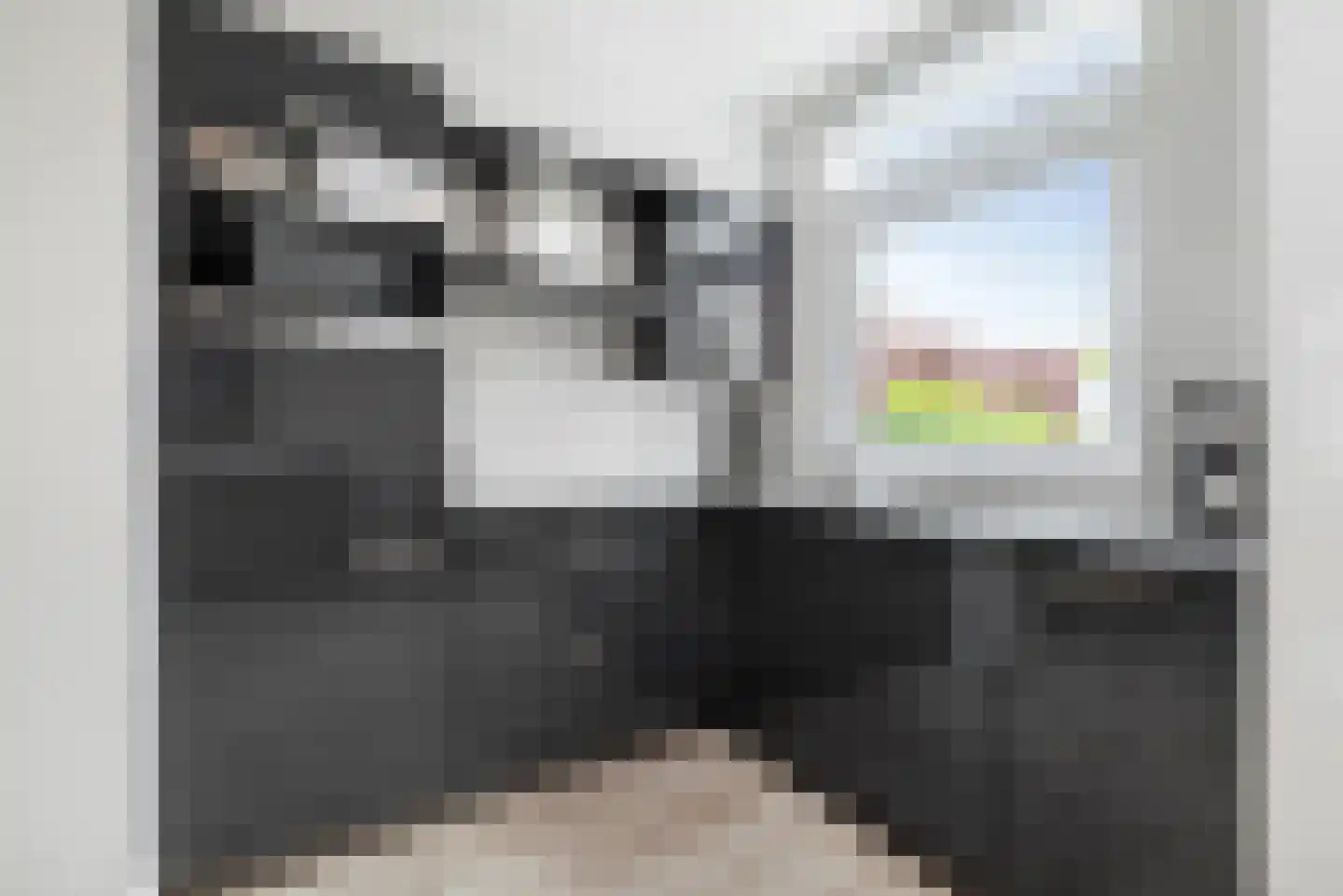 De Ruijterstraat 62 Den Helder thumbnail 17
