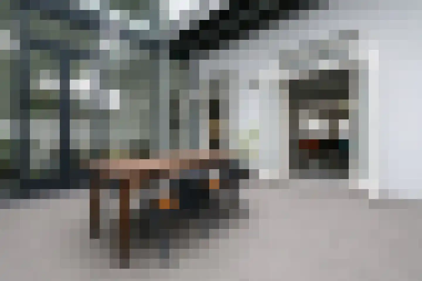 De Ruijterstraat 66 Den Haag thumbnail 16