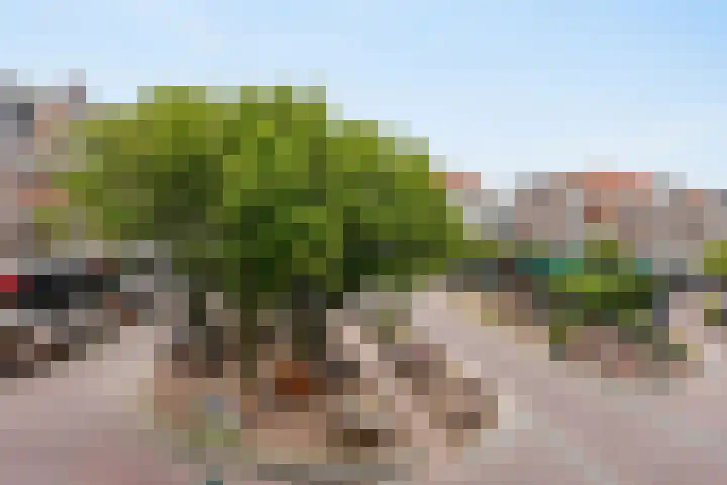 De Ruijterstraat 66 Den Haag thumbnail 33