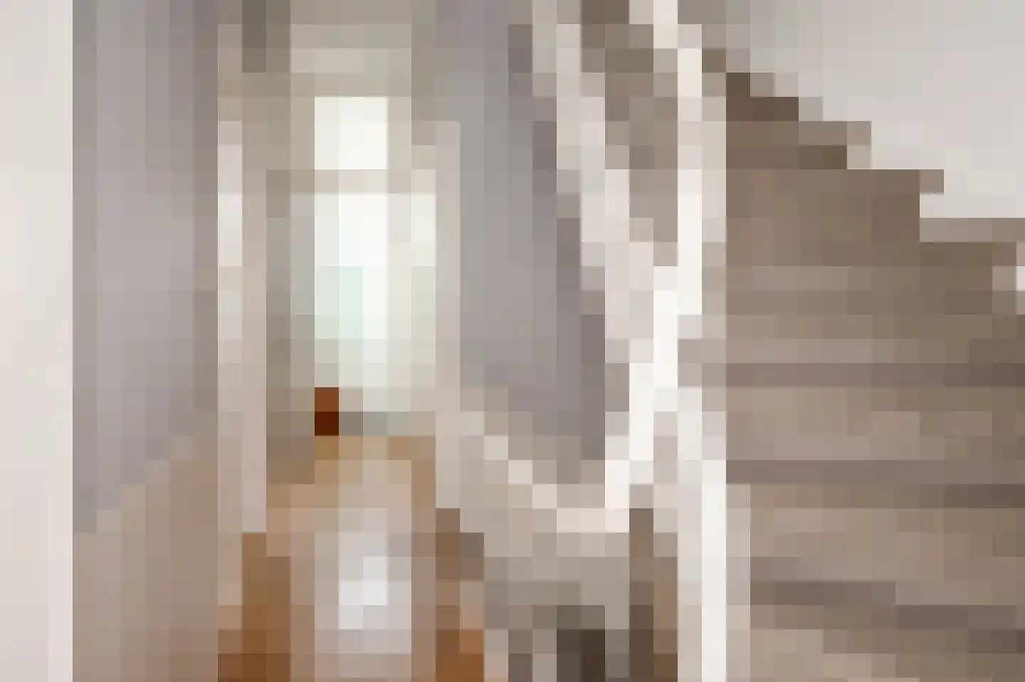 De Ruijterstraat 68 Den Haag thumbnail 32