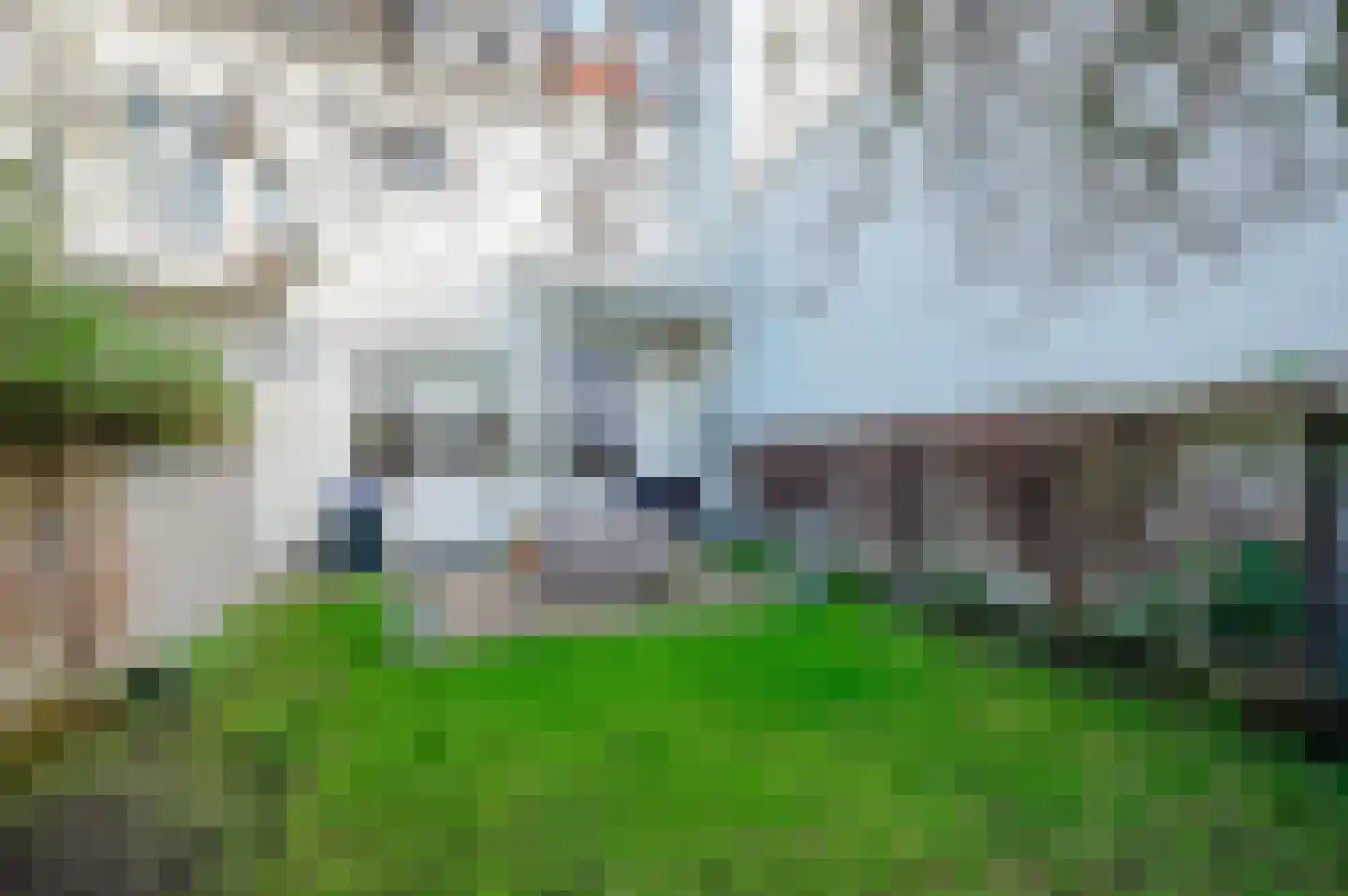 De Ruijterstraat 68 Den Haag thumbnail 4