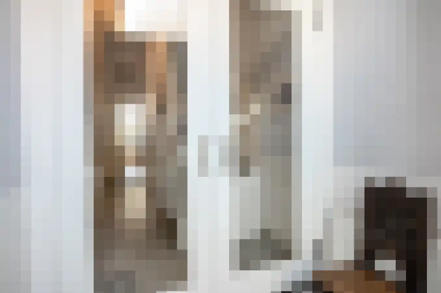 De Ruijterstraat 68 Den Haag thumbnail 6