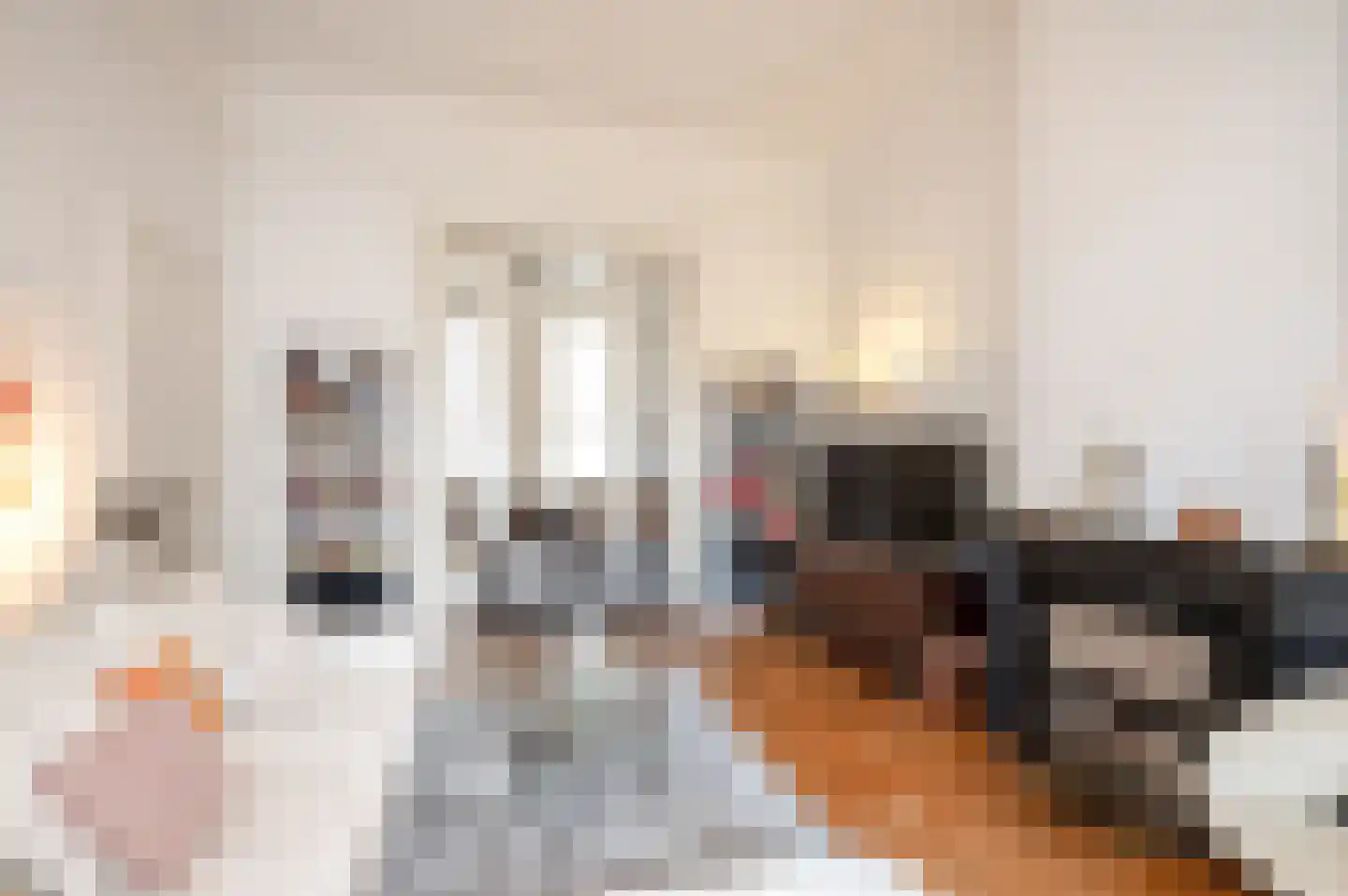 De Ruijterstraat 68 Den Haag thumbnail 8