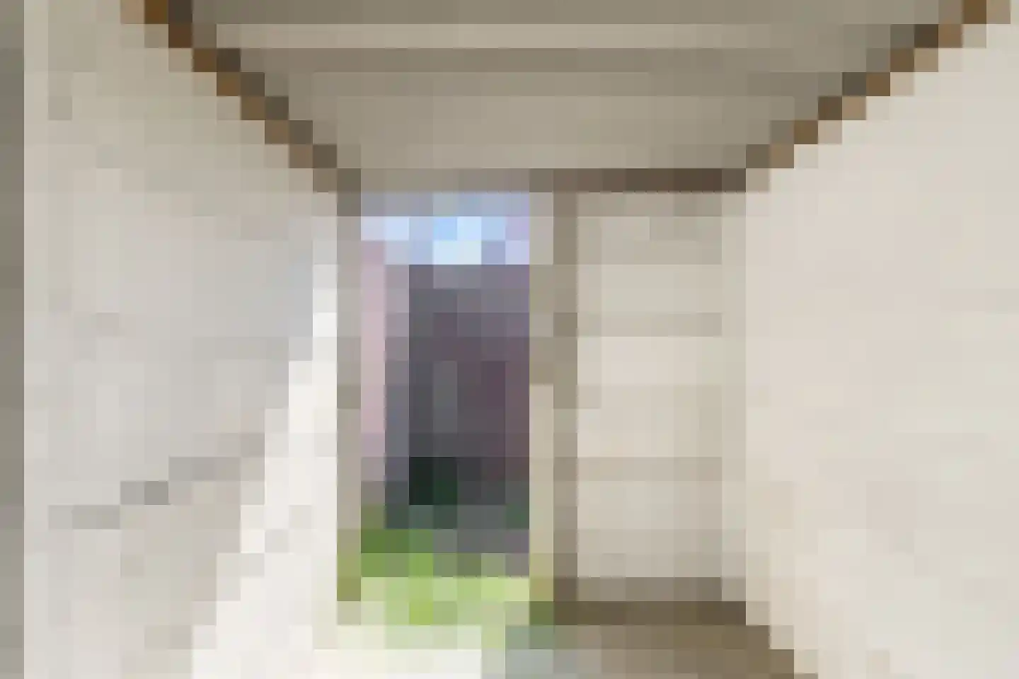 De Ruijterstraat 7 Alkmaar thumbnail 26