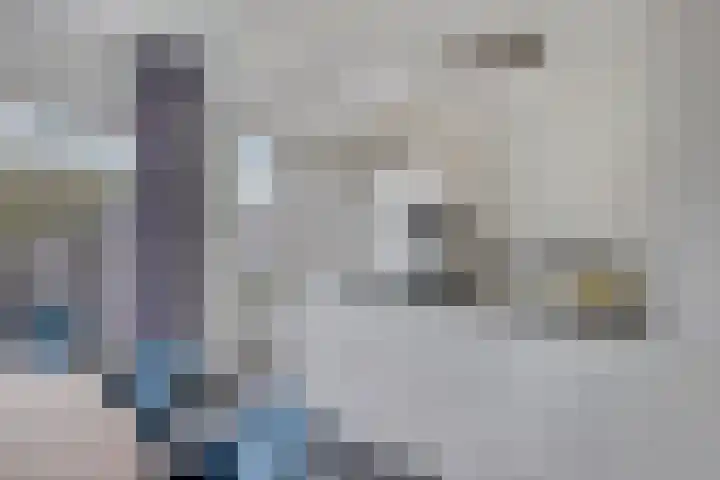 De Ruijterstraat 7 Veghel thumbnail 11