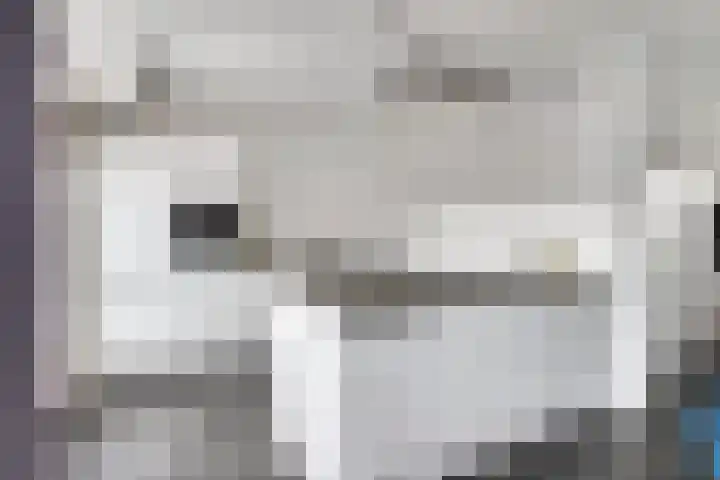 De Ruijterstraat 7 Veghel thumbnail 12