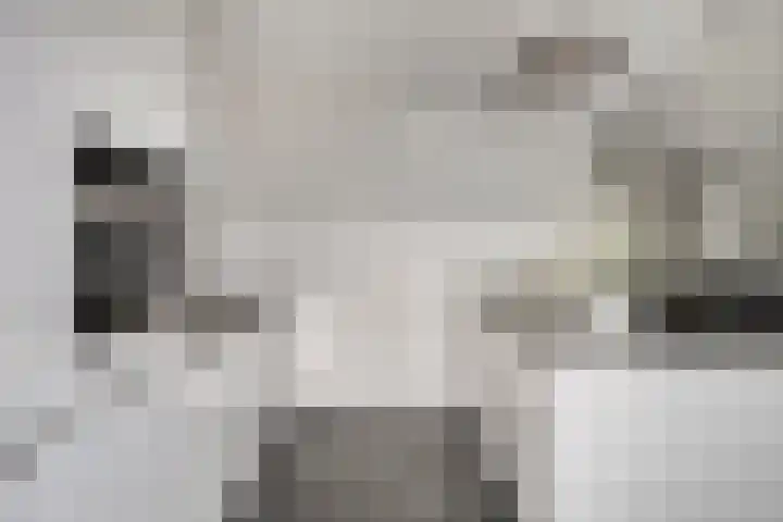 De Ruijterstraat 7 Veghel thumbnail 13