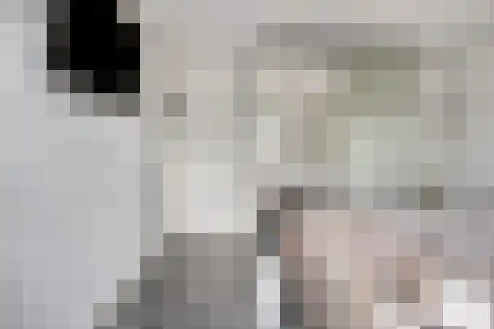De Ruijterstraat 7 Veghel thumbnail 17