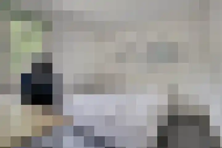De Ruijterstraat 7 Veghel thumbnail 19