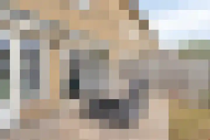 De Ruijterstraat 7 Veghel thumbnail 25