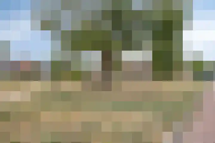 De Ruijterstraat 7 Veghel thumbnail 30