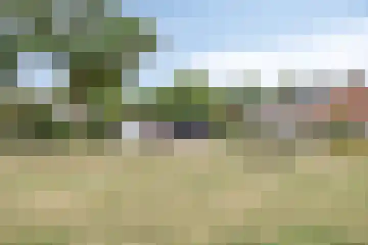 De Ruijterstraat 7 Veghel thumbnail 31