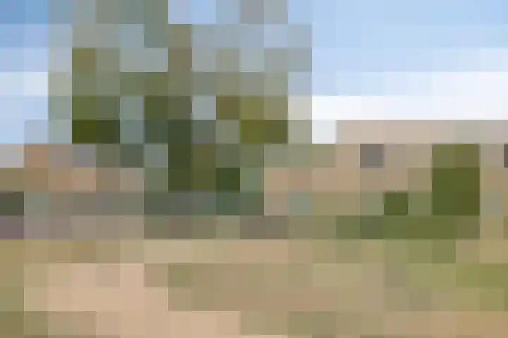 De Ruijterstraat 7 Veghel thumbnail 32