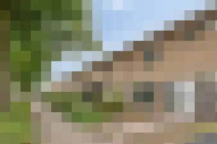 De Ruijterstraat 7 Veghel thumbnail 33