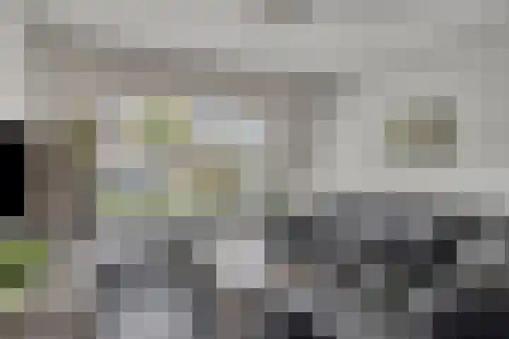 De Ruijterstraat 7 Veghel thumbnail 5