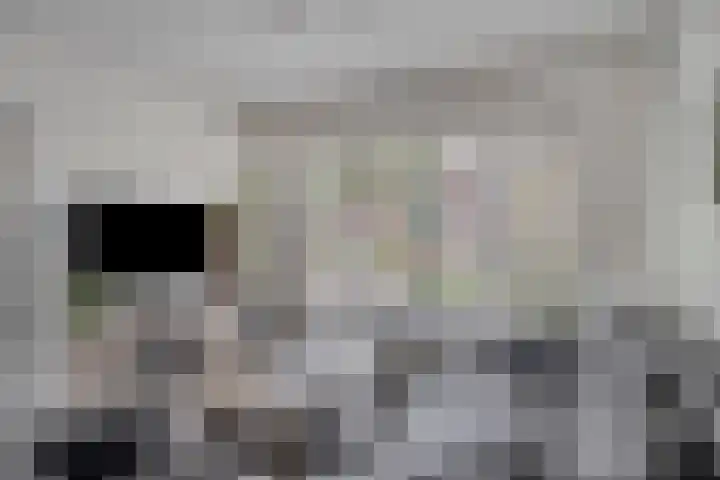 De Ruijterstraat 7 Veghel thumbnail 6