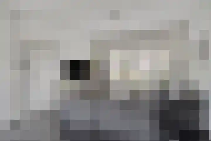De Ruijterstraat 7 Veghel thumbnail 7